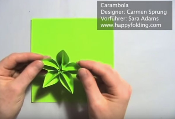 Flor de Carambola