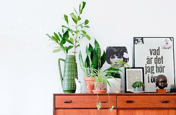 Tendencias: plantas por doquier