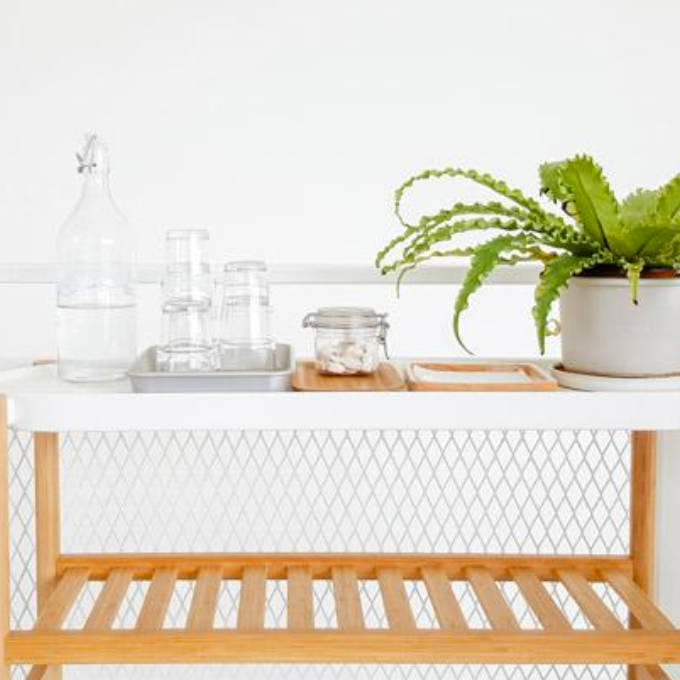 Las plantas decorativas están de moda