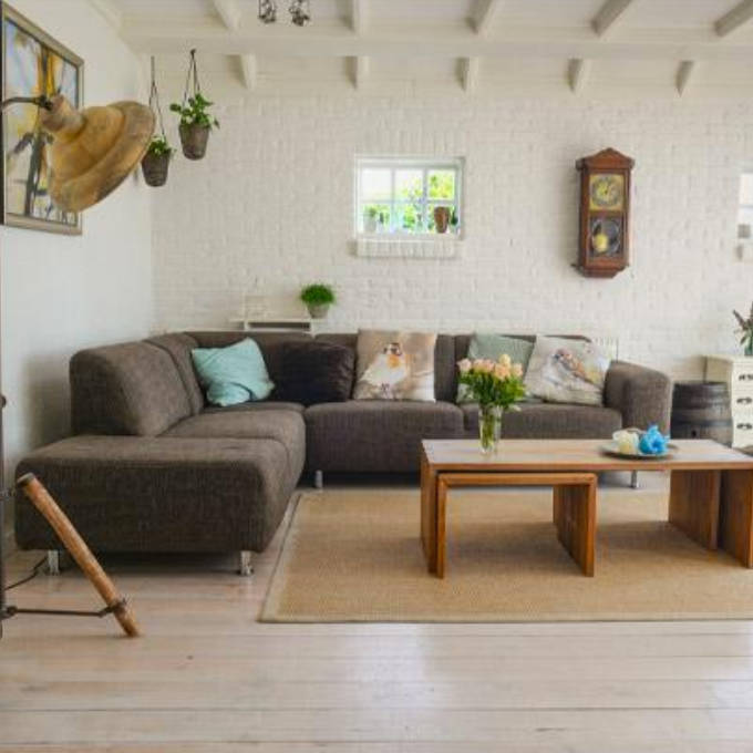 ¿Por qué decorar tu nuevo piso con plantas?